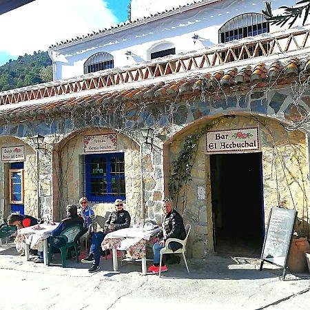 Gasthaus Casa La Higuera Frigiliana Exterior foto